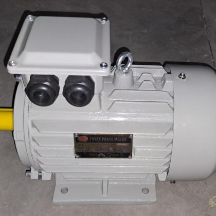 Cooling Tower Motor 2